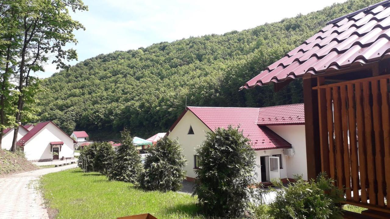 Mishyn-City Hotel Dobrovlyany Zewnętrze zdjęcie